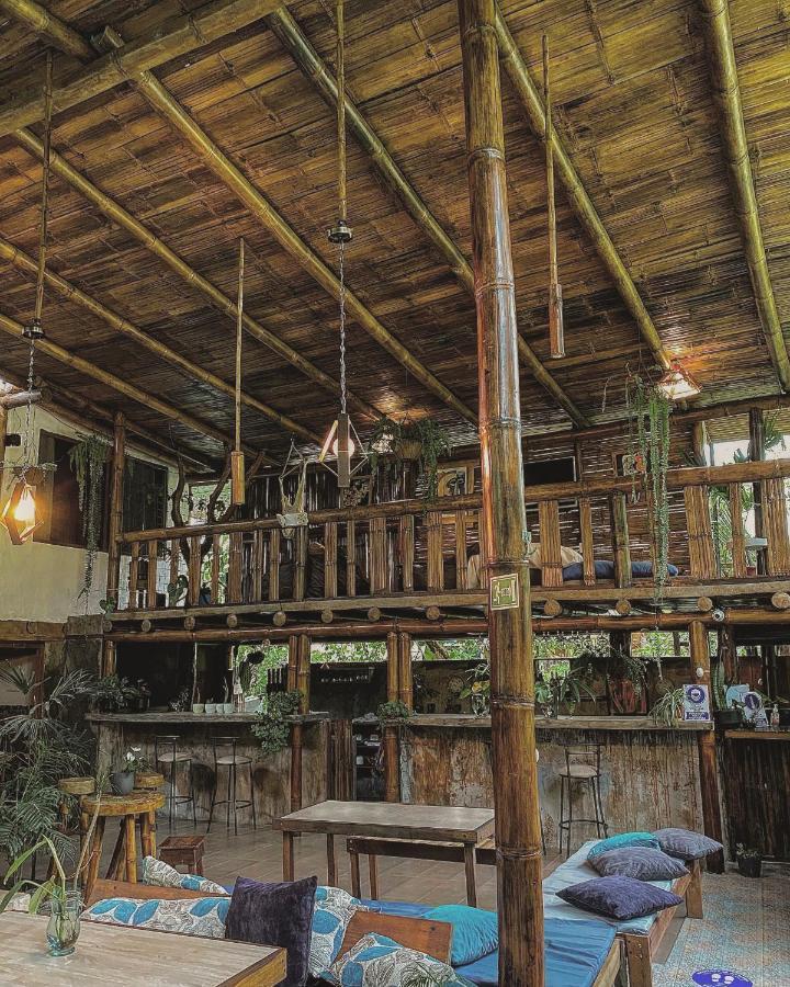 Cinnamon House Mindo Kültér fotó